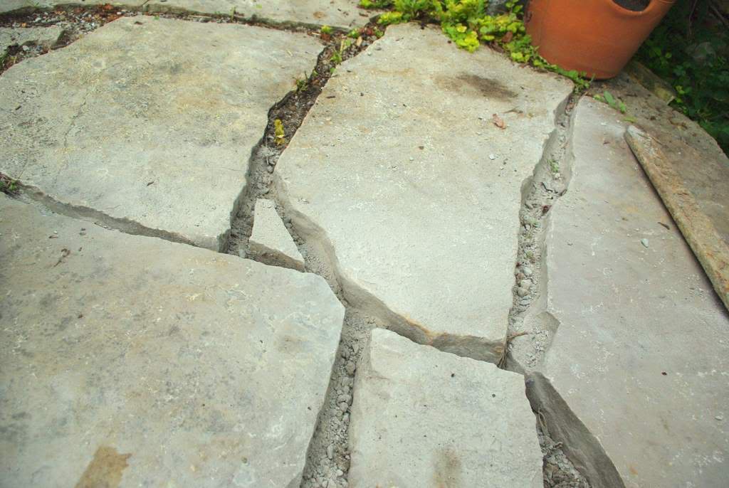 It's Not Work, It's Gardening! Filling flagstone patio cracks